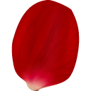 Petal 4