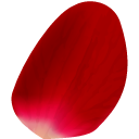 Petal 6